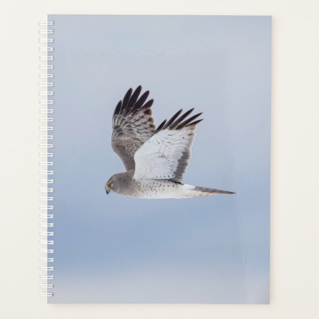 Northern Harrier 2026 Planner | Winter Wildlife (Front)