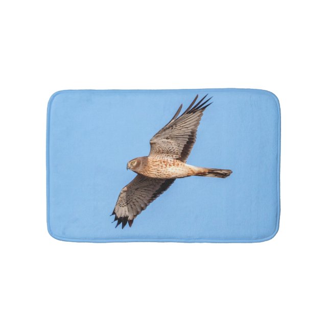 Northern Harrier in Flight Bathroom Mat (Front)