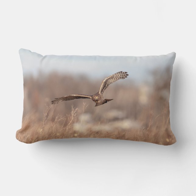 Northern Harrier Lumbar Pillow (Front)
