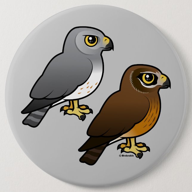 Northern Harrier pair Button (Front)