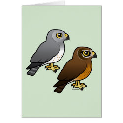 Northern Harrier Pair Greeting Card