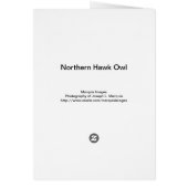Northern Hawk Owl 3 Cards (Back)