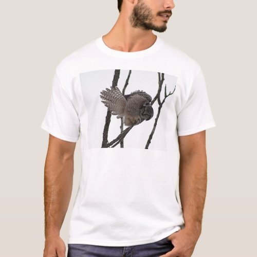 Northern Hawk Owl 6 T_Shirt