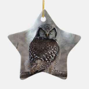 Northern Hawk Owl Ceramic Ornament