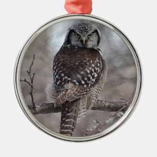 Northern Hawk Owl Metal Ornament