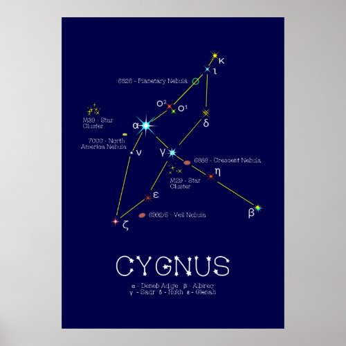 Northern Hemisphere Constellation Cygnus Poster