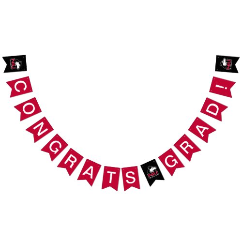 Northern Illinois Huskies  Graduation Bunting Flags