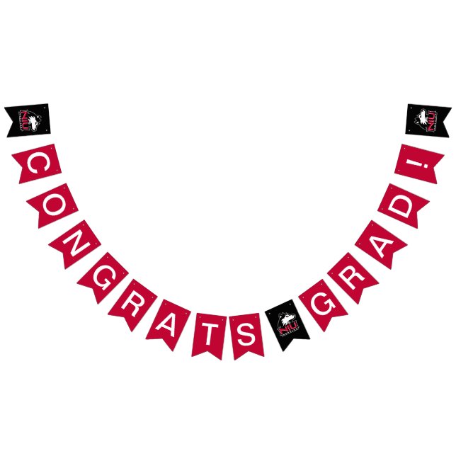Northern Illinois Huskies | Graduation Bunting Flags (All)