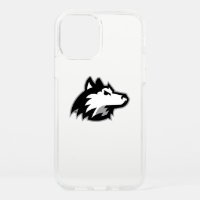 Northern Illinois Huskies