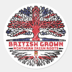 Northern Ireland Irish Ulster Uk United Kingdom Classic Round Sticker