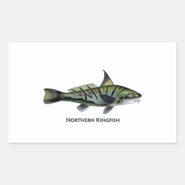 Northern Kingfish   Roundhead   Whiting Sticker