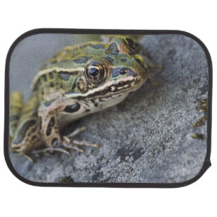 Northern Leopard frog, See-through Island, Car Mat