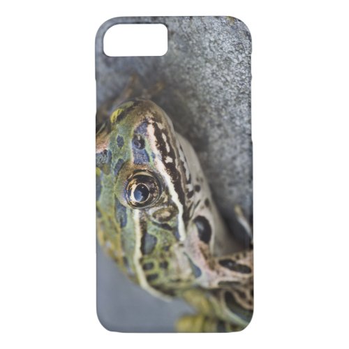 Northern Leopard frog See_through Island iPhone 87 Case