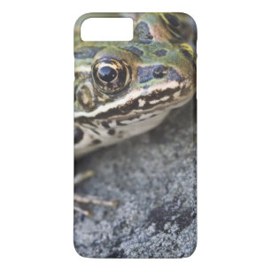 Northern Leopard frog, See-through Island, iPhone 8 Plus/7 Plus Case