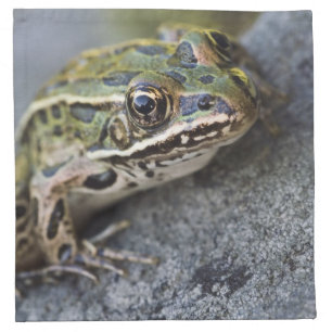 Northern Leopard frog, See-through Island, Cloth Napkin