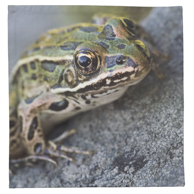 Northern Leopard frog, See-through Island, Cloth Napkin (Front)