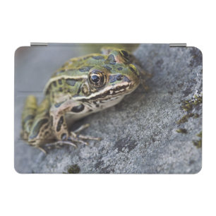 Northern Leopard frog, See-through Island, iPad Mini Cover