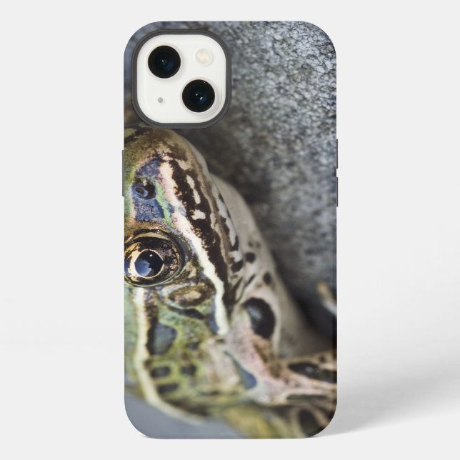 Northern Leopard frog, See-through Island, Iphone Case (Back)