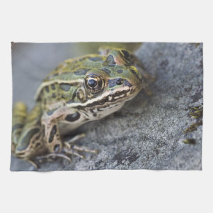 Northern Leopard frog, See-through Island, Kitchen Towel
