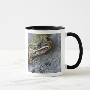 Northern Leopard frog, See-through Island, Mug