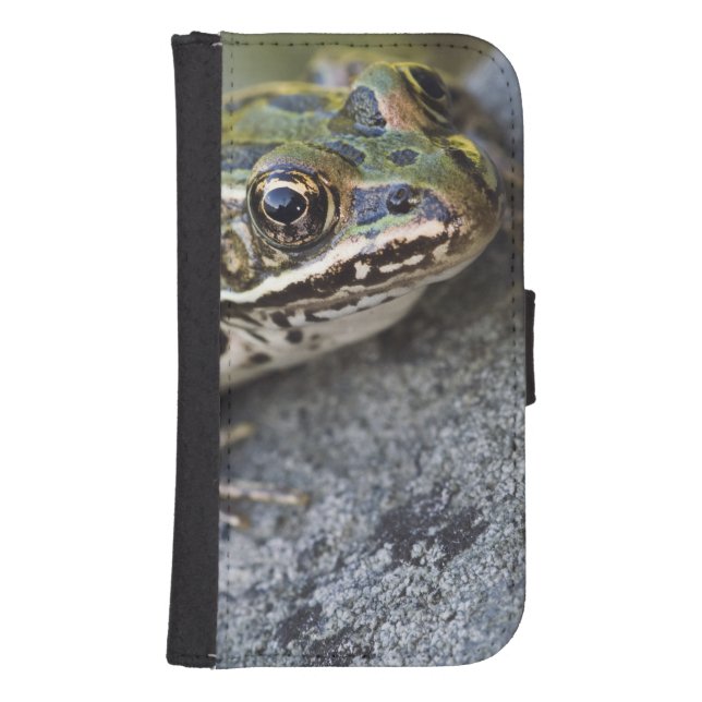 Northern Leopard frog, See-through Island, Samsung Galaxy Wallet Case (Front)