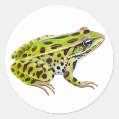Northern Leopard Frog Sticker