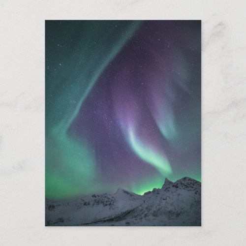 Northern Light in Norway Postcard