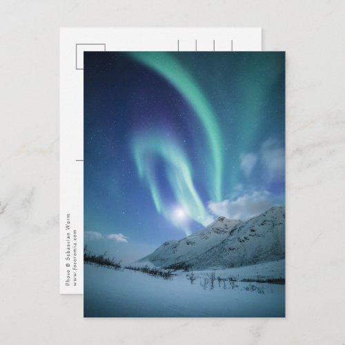 Northern Light Postcard