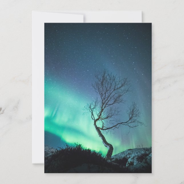 Northern Light Tree Card (Front)