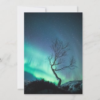 Northern Light Tree Card