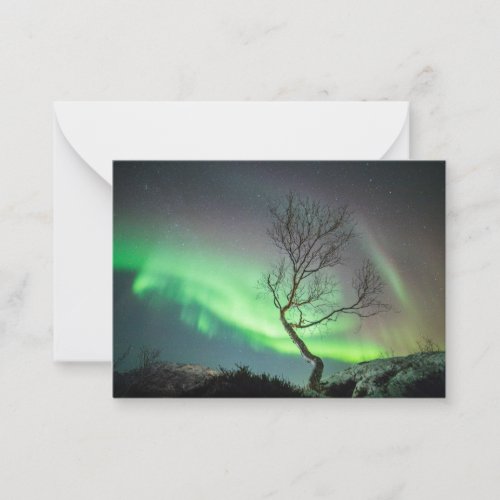 Northern Light Tree Card