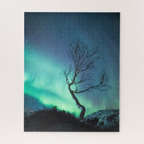 Northern Light Tree Jigsaw Puzzle