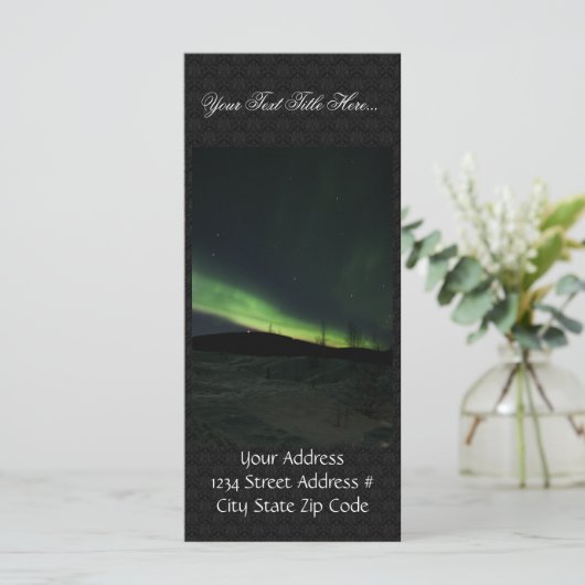 Northern Lights (Standing Front)