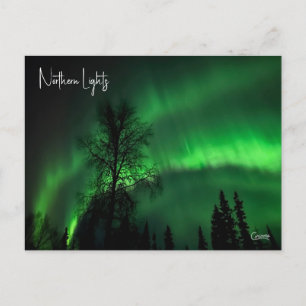 Northern Lights 4 - Postcard