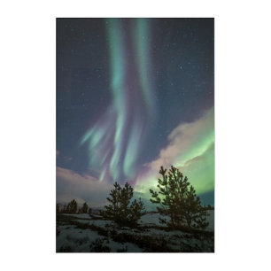 Northern Lights Acrylic Print