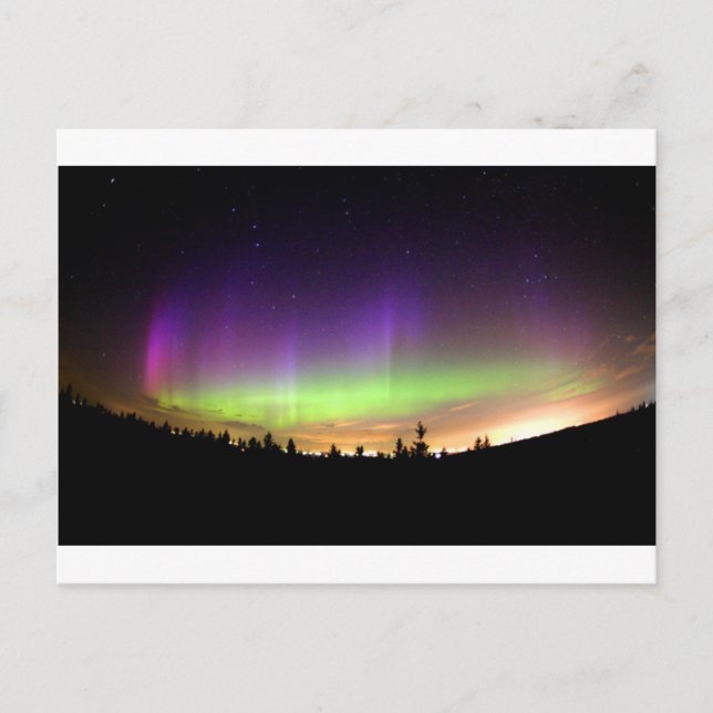 Northern Lights Alaska Sky Night Postcard (Front)