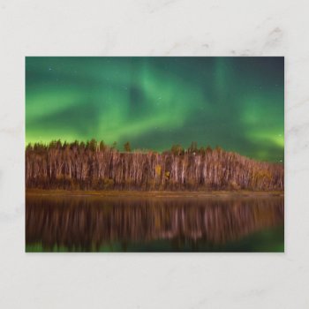 Northern Lights Alberta Postcard by thecoveredbridge at Zazzle