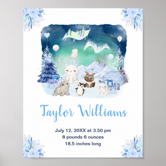 Northern Lights Arctic Animals Birth Statistics Poster (Front)