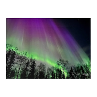 northern lights at night acrylic print