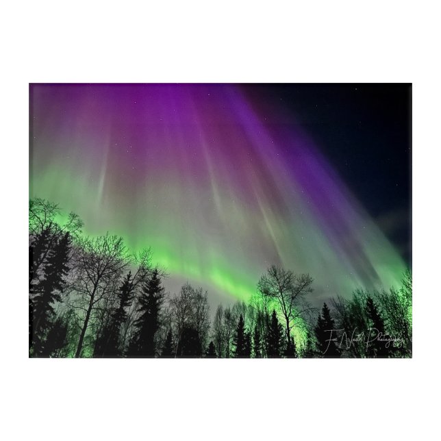 northern lights at night acrylic print (Front)