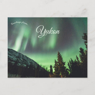 Northern Lights Aurora Borealis in Yukon Canada Postcard