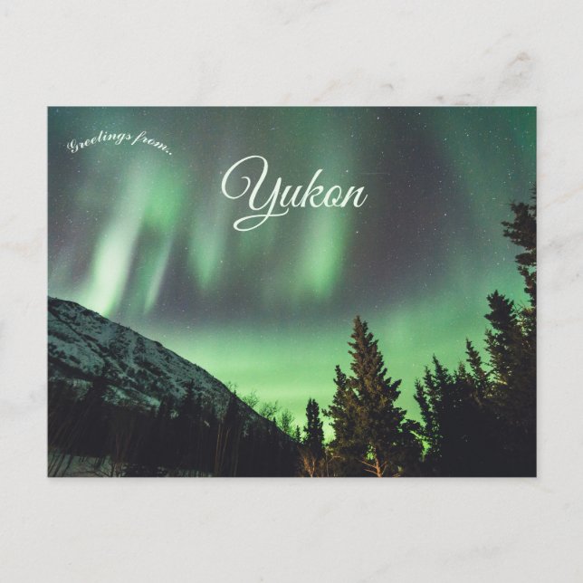 Northern Lights Aurora Borealis in Yukon Canada Postcard (Front)