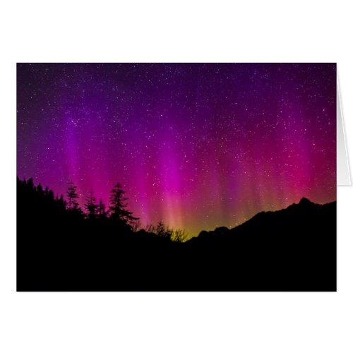 Northern Lights Aurora Borealis Starry Night Sky