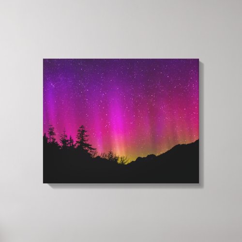 Northern Lights Aurora Borealis Starry Night Sky Canvas Print