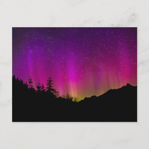 Northern Lights Aurora Borealis Starry Night Sky Postcard