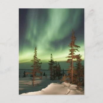 Northern Lights Canada Postcard by thecoveredbridge at Zazzle