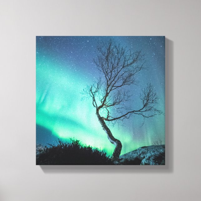 Northern Lights Canvas Print (Front)