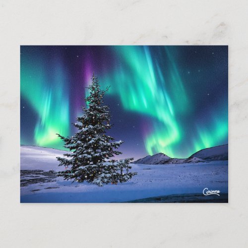 Northern Lights Christmas _ Postcard