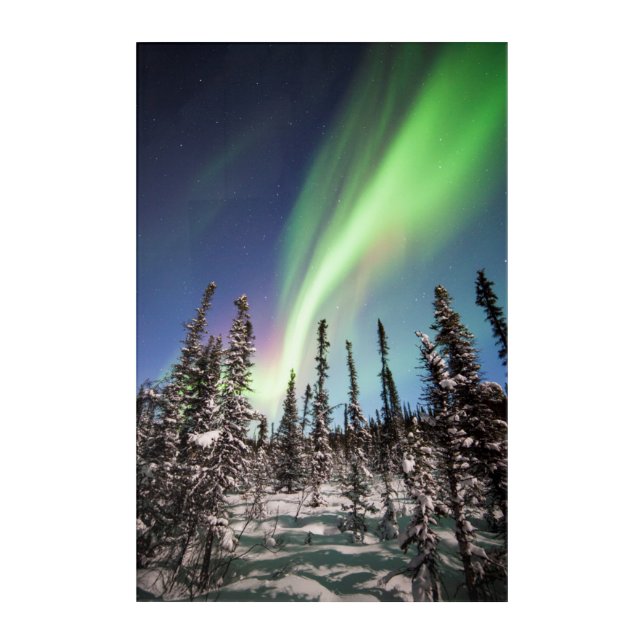 Northern Lights | Denali National Park Acrylic Print (Front)
