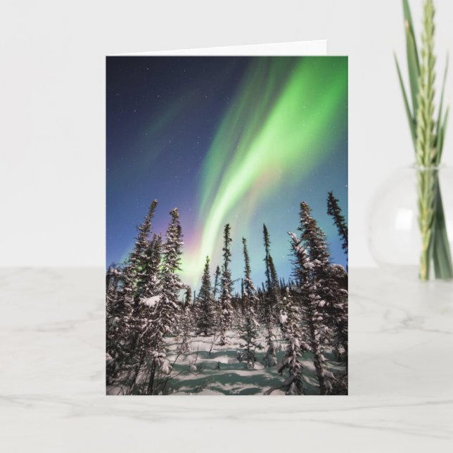 Northern Lights | Denali National Park Card (Front)